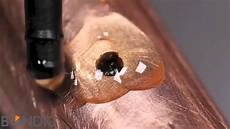 Pipe Connector Clamp
